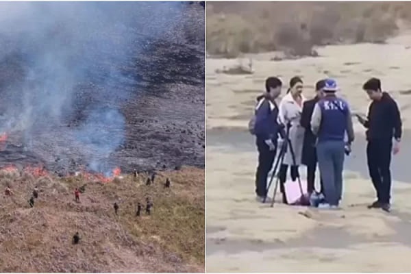 Bukit Savana Bromo Kebakaran