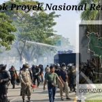 Konflik Pulau Rempang Kini Jadi Sorotan Media Asing, Ada Apa?