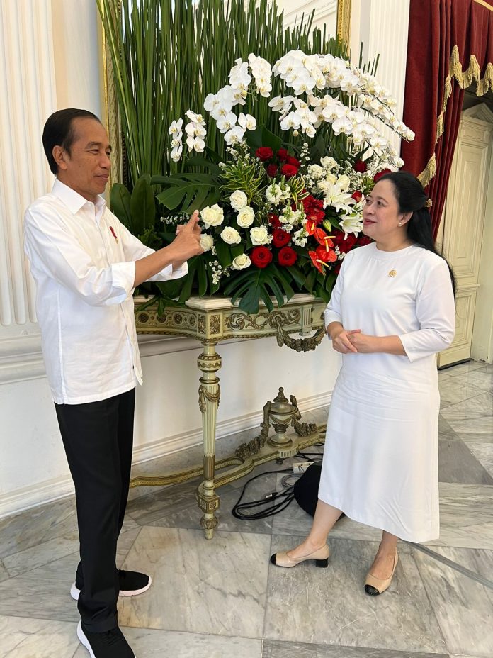 Puan Temui Jokowi
