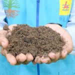 PLN Dorong Kemandirian Ekonomi Masyarakat Melalui Pemanfaatan FABA