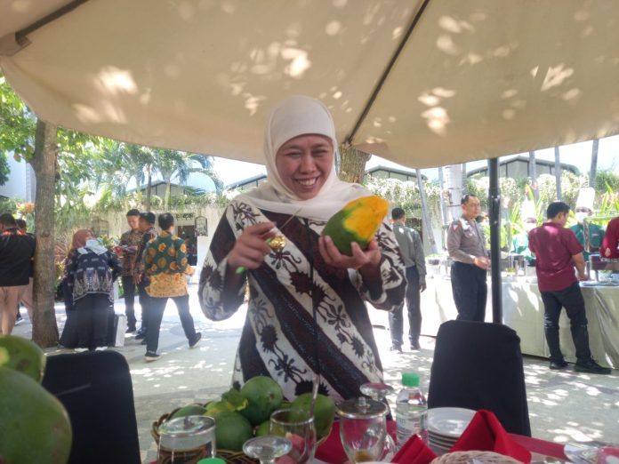 khofifah mangga kediri