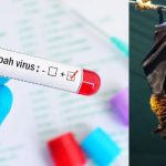 Mengenal Virus Nipah Wabah Baru di Asia, Asal-usul Hingga Penularannya.