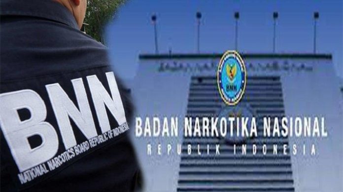 BNN Buka Lowongan CASN 2023