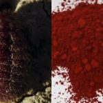 ifnkyfosg0i01tjldz5i