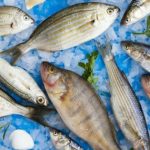 img-17102019-094216-800-x-420-piksel-67559024e04f2e7a521df438c1bc0498_600xauto