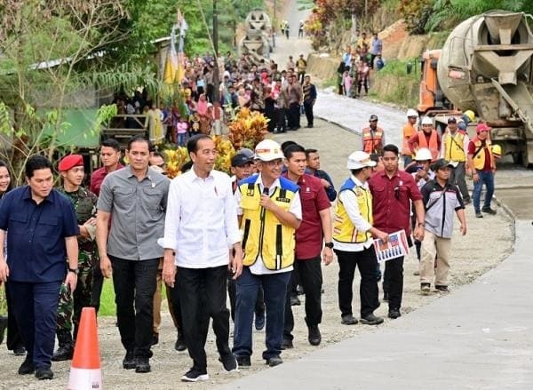 Presiden Jokowi Tinjau Progres Penanganan IJD