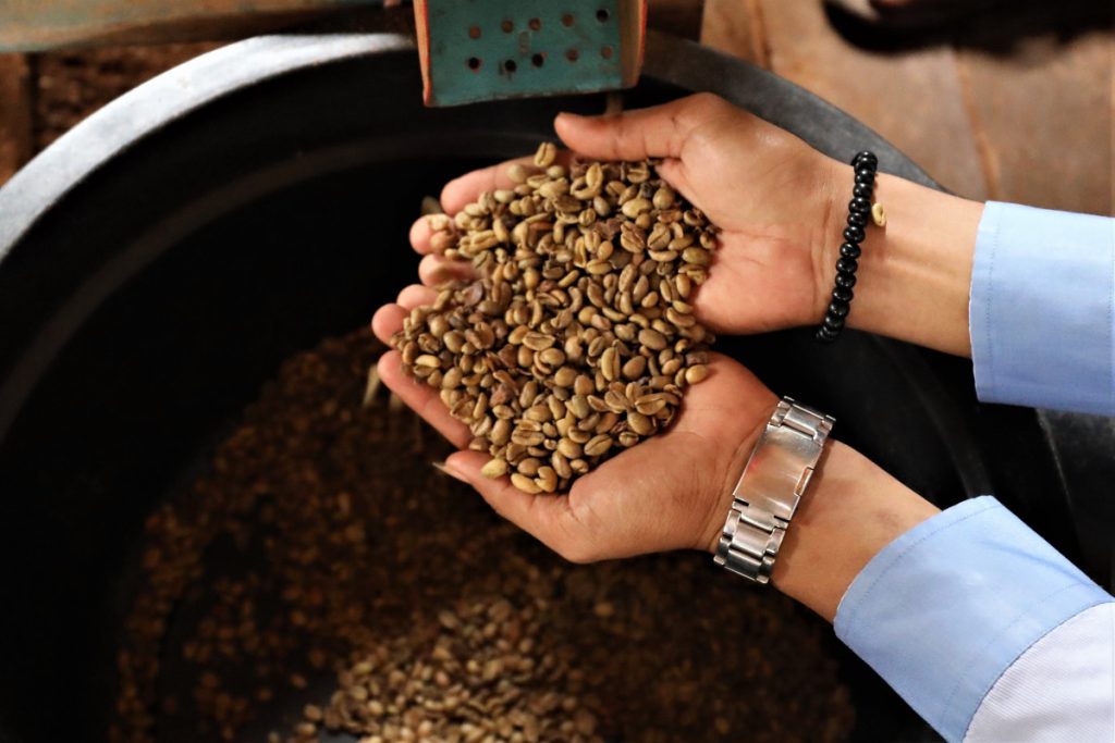 keunikan kopi Liberika