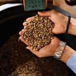 keunikan kopi Liberika