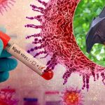 Mengenal Virus Nipah Wabah Baru di Asia, Gejala Hingga Pencegahannya