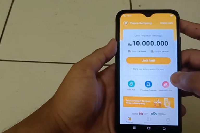Sebagian Besar Pengguna Pinjol dan Paylater merupakan Penduduk Unbanked