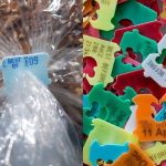 warna segel roti tawar