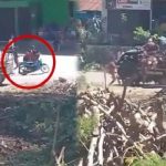 Viral Video Kawin Tangkap di Sumba NTT, Polisi Periksa Korban dan Pelaku.