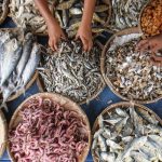 Manfaat Ikan Asin Buat Kesehatan, Baik Untuk Tulang serta Sumber Energi