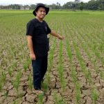 Cegah Gagal Panen