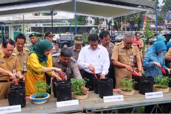 Mentan Amran Ajak Masyarakat Tanam Cabai di Rumah