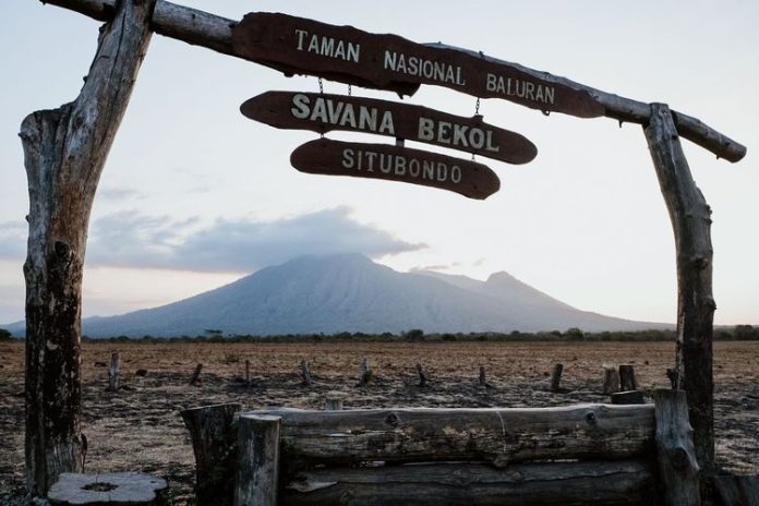Taman Nasional Baluran Situbondo