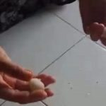 Viral Beras Plastik Impor China, Buwas Buka Suara