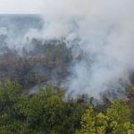 Penerbangan Sampit-Surabaya