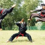 Pencak Silat Indonesia Bisa Jadi Seni, Industri serta Bisnis, Begini Alasannya.