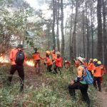 Titik Api Melebar Sampai Magetan, BPBD Jatim Siapkan Water Bombing Untuk Padamkan Karhutla Gunung Lawu (1)