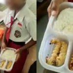 Viral Ulat Sagu jadi Bekal Anak SD, Ternyata Ini Dia Manfaat serta Kandungan Gizinya