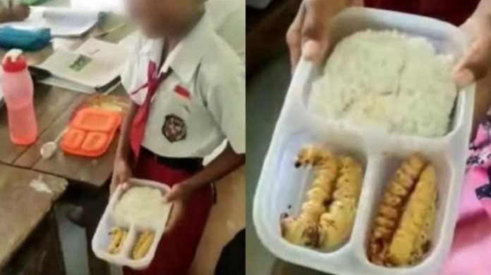 Viral Ulat Sagu jadi Bekal Anak SD