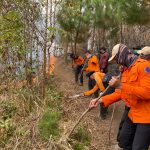 Karhutla Gunung Lawu