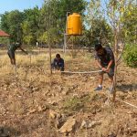 Kreatif, Lanudal Kupang Ubah Lahan Tandus Berkarang Jadi Lahan Konservasi Gaharu dan Cendana
