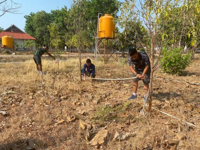Kreatif, Lanudal Kupang Ubah Lahan Tandus Berkarang Jadi Lahan Konservasi Gaharu dan Cendana