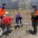 Karhutla Gunung Bromo
