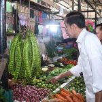Presiden Jokowi Cek Harga Komoditas Pangan di Pasar Sekip Ujung Kota Palembang