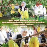 Gubernur Khofifah Kunjungi Agrowisata Petik Buah Belimbing Karangsari di Kota Blitar, Destinasi Wisata Andalan Kota Blitar.