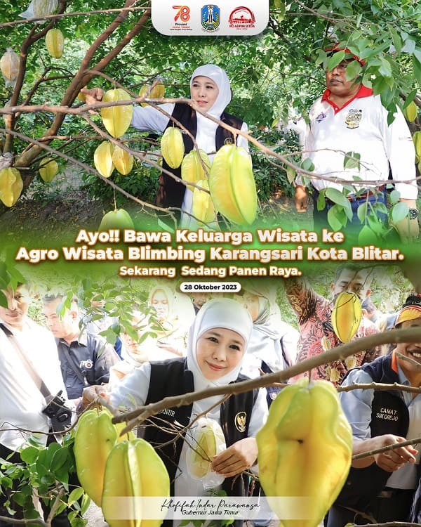 Gubernur Khofifah Kunjungi Agrowisata Petik Buah Belimbing