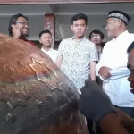 gibran tembaga tumang