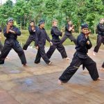Pencak Silat Indonesia Bisa Jadi Seni, Industri serta Bisnis, Begini Alasannya