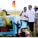 Presiden Jokowi Ikuti Panen Raya di Subang, Berharap Cadangan Beras Nasional Meningkat.