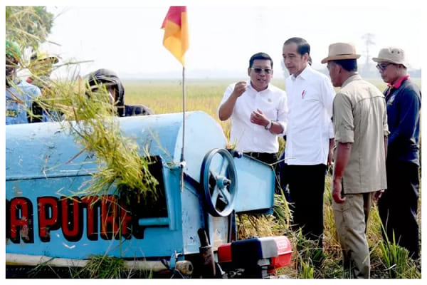 Presiden Jokowi Ikuti Panen Raya di Subang