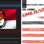 Kasus Dugaan 204 Juta Data KPU Bocor serta Dijual di Internet, Simak Faktanya