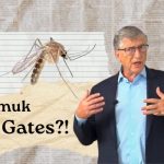 Nyamuk Bill Gates Atau Wolbachia Diisukan Sebabkan Pandemi Hingga Tularkan Genetik LGBT, Simak Faktanya