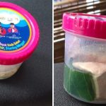 Menu Cegah Stunting Depok