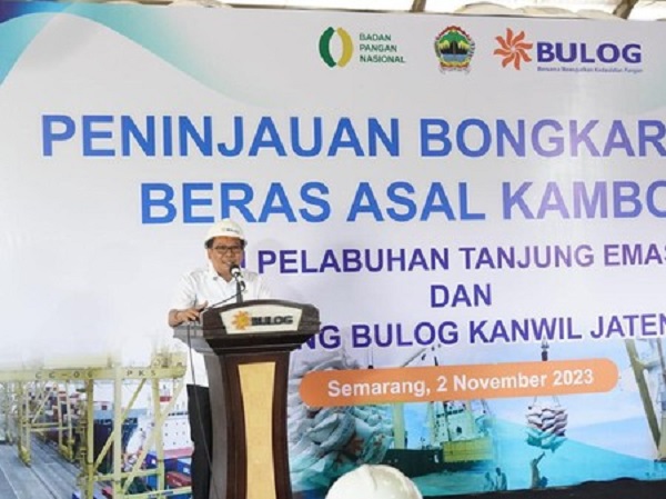 Kamboja Kirim 1 Juta Ton Beras