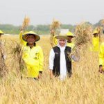 Panen Raya Padi di Tuban, Gubernur Khofifah: Jatim Mampu Jadi Produsen Padi Tertinggi Nasional Selama 4 Tahun Berturut-turut