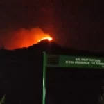 Gunung Penanggungan Kebakaran