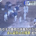 Jepang Deteksi Flu Burung H5, Bunuh 40.000 Burung di Peternakan.