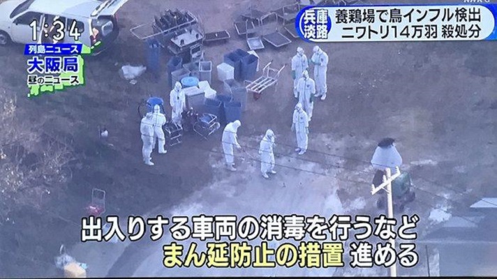 Jepang Deteksi Flu Burung H5