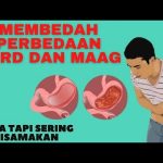 Cara Mengobati GERD dan Maag Tanpa Obat.