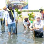 Khofifah Bibit Mangrove