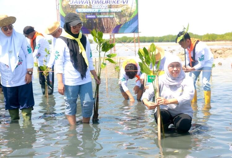 Gubernur Khofifah Tanam 22.500 Bibit Mangrove pada Festival Mangrove Ke-VI Jatim di Sumenep