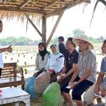 Presiden Jokowi Tinjau Penanaman Padi dan Serap Aspirasi Petani di Pekalongan.