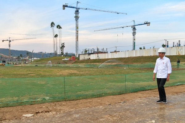 Presiden Jokowi Tanam Pohon Bersama